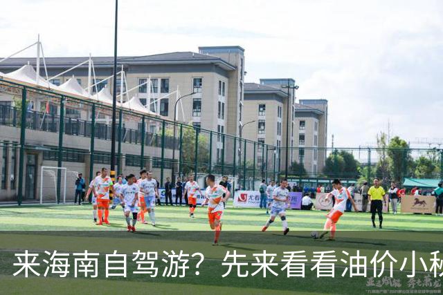 来海南自驾游？先来看看油价小秘密！